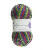 West Yorkshire Spinners Signature 4ply - 100g - (Ideal for socks)