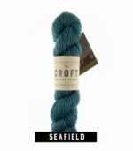 West Yorkshire Spinners The Croft - Shetland Colours Aran - 100g - Image 4
