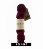 West Yorkshire Spinners The Croft - Shetland Colours Aran - 100g - Image 3