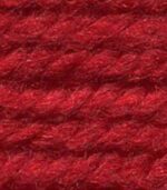 Life Aran - 100g -Stylecraft - Image 3