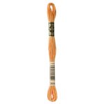 DMC - Oranges - Hand Embroidery Threads - Image 9