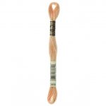 DMC - Oranges - Hand Embroidery Threads - Image 10