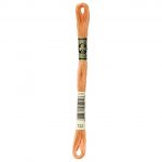 DMC - Oranges - Hand Embroidery Threads - Image 14