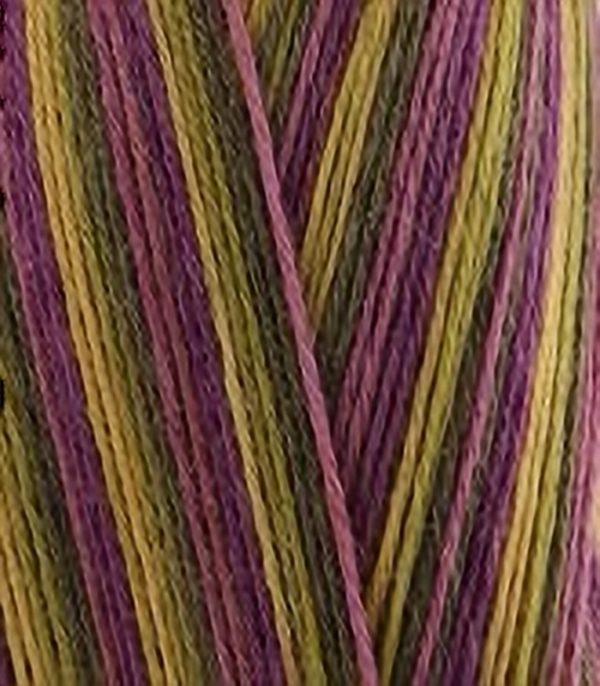 West Yorkshire Spinners Signature 4ply - 100g - (Ideal for socks) - Image 8