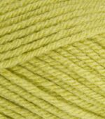 Special Chunky 100g-Stylecraft - Image 18