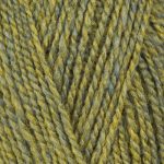 Stylecraft -Highland Heathers -DK- 100g - Image 11
