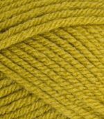 Special Chunky 100g-Stylecraft - Image 39
