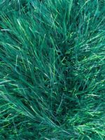 Tinsel - Chunky - 50g - Image 13