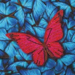 Crystal Art Card Kit- Craft Buddy - Image 5