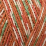 West Yorkshire Spinners Signature 4ply - 100g - (Ideal for socks) - Image 18