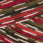 West Yorkshire Spinners Signature 4ply - 100g - (Ideal for socks) - Image 16